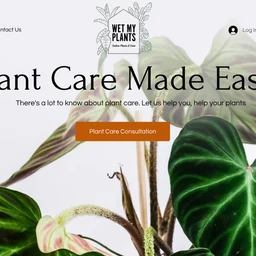 Wet My Plants website